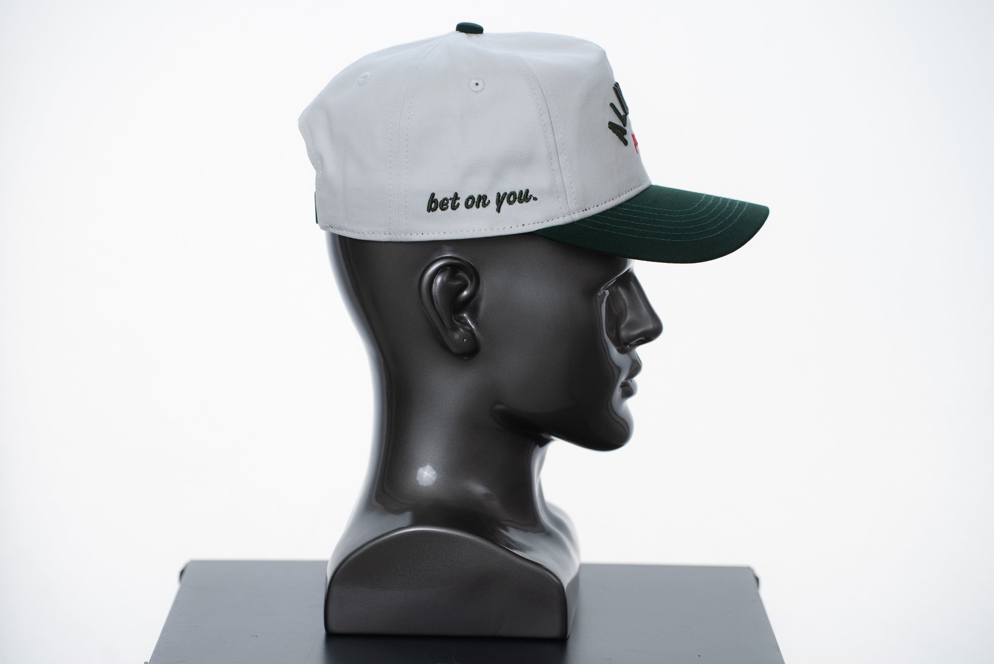 TWO TONE ARCH HAT