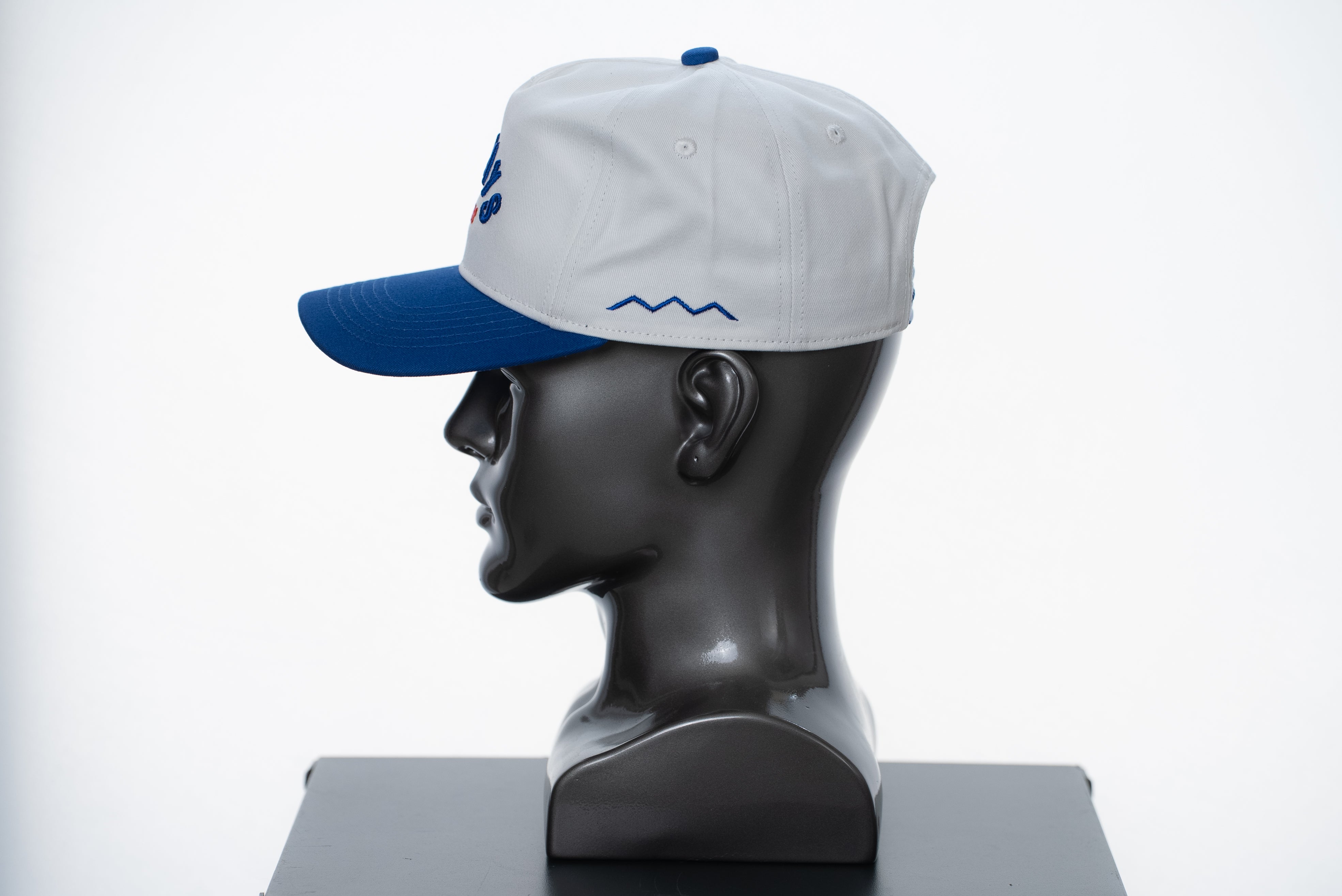 TWO TONE ARCH HAT