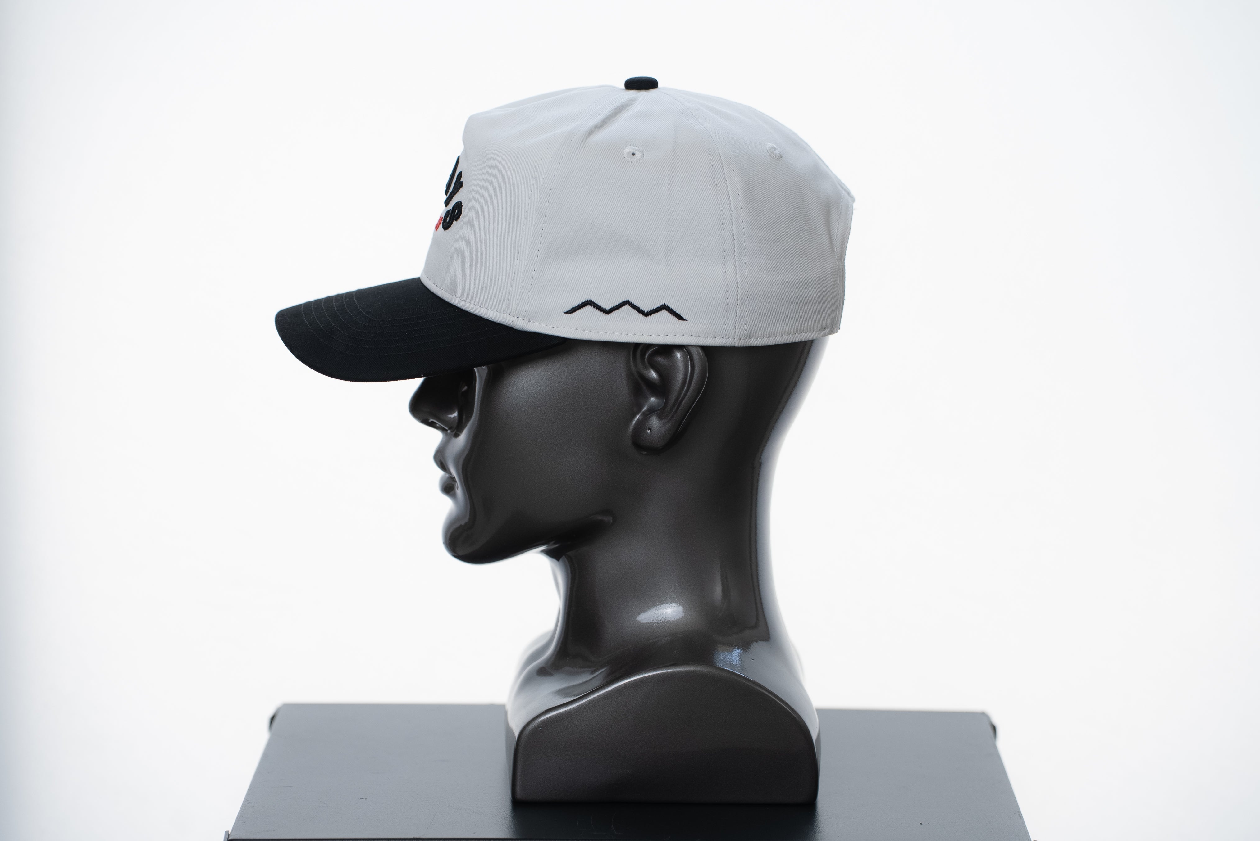 TWO TONE ARCH HAT